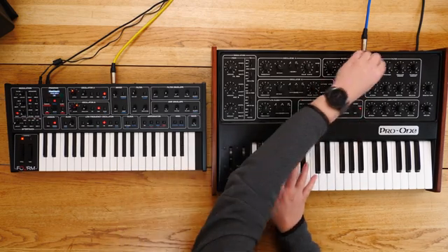 Starsky Carr im Synth-Duell: Sequential Fourm vs Pro-One – Moderne Power oder Vintage-Magie?