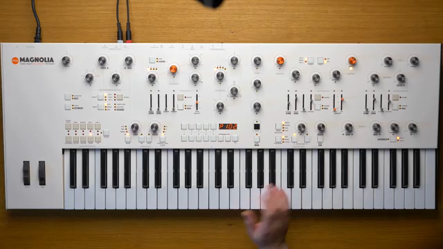 Frap Tools Magnolia: Präzision trifft auf patchbare Wärme