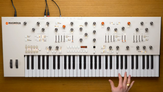 Frap Tools Magnolia: Presets entschlüsseln – ganz ohne Bildschirm