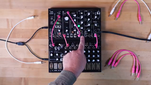Make Noise 0-Coast ACID: Squelch ohne Filter