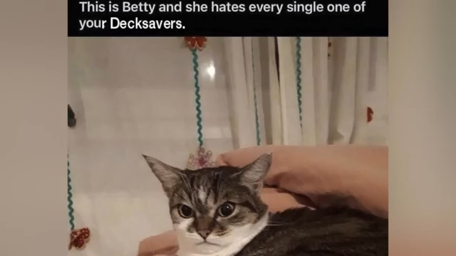 Der Preset-Browser ist unfertig