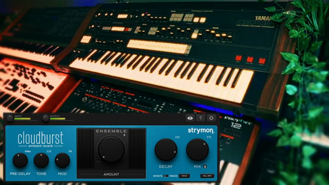 Oh ja, das ist das Blade Runner-Territorium.