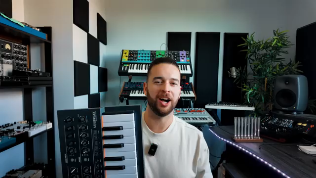 Jeder einzelne Parameter ist modulierbar oder den Makros zuweisbar.