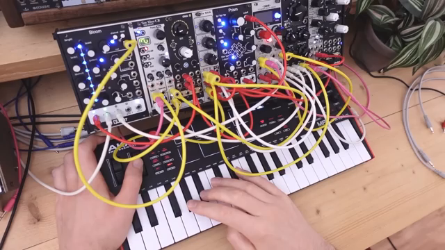 MonotrailTechTalks Eurorack-Odyssee: Den Weg für neue modulare Entdecker ebnen