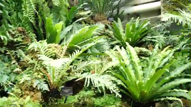 Ich habe in der Vergangenheit viel im Bereich Mehrkanal- und räumliche Audiotechnik gearbeitet.