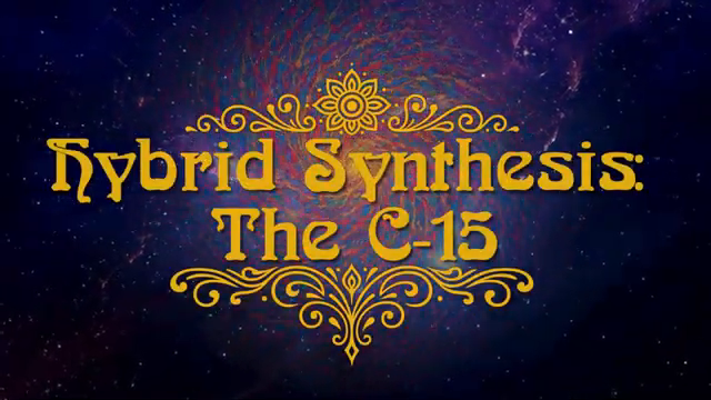 Ich möchte Ihnen das C15 näher zeigen, weil dies der fortschrittlichste Synthesizer ist, den ich besitze.