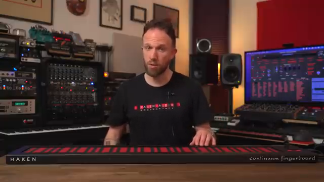 Normalerweise spielt man eine Note, tritt aufs Sustain-Pedal – und hat keine Dynamik mehr. Das ganze Fingerboard ist blockiert.