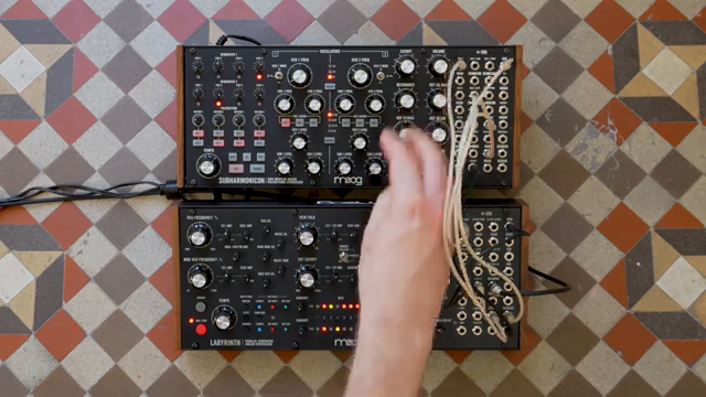 Combining Labyrinth and Subharmonicon together can provide fascinating harmonic movement.