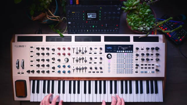 The sounds that this machine is able to produce are simply astounding.