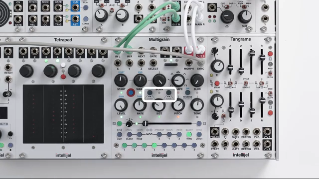 Intellijel Multigrain: Getaktetes Chaos und disziplinierte Grains