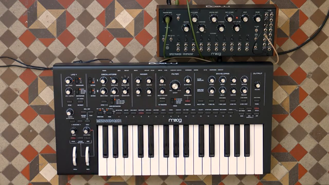Moog Music: Messenger & Spectravox – Feedback-Alchemie in Aktion