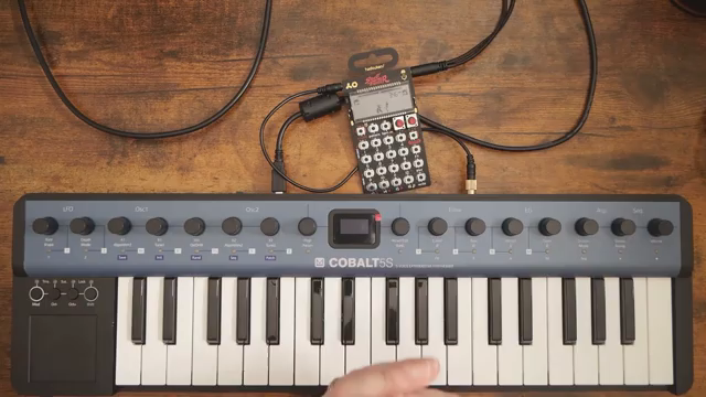 Der PO-33 ist das beste elektronische Musikgerät, das du für unter 100 US-Dollar kaufen kannst.