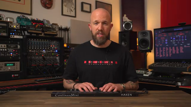 Der ContinuuMini kommt mit über 500 internen Presets.