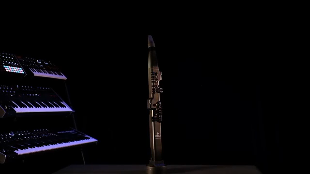 DioSynth ist ein fortschrittlicher Windsynthesizer, der für maximale Ausdruckskraft, unglaubliches Sounddesign und großartige Ergonomie für…