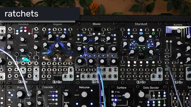 Qu-Bit’s Bloom v2: Komplexität kultivieren im Modular-Sequencing