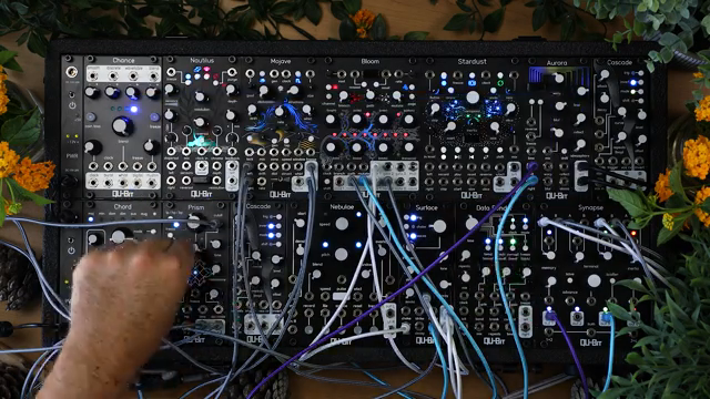 Okay, let's plant a new sequence.