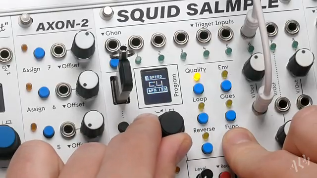 ALM TV zerlegt den Squid Salmple: Sync, Slice & Stretch im Eurorack