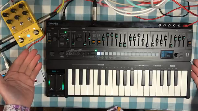 Der L1 kommt ganz ohne Effekte, und deshalb ist es extrem nützlich, ihn durch irgendeinen Effekt zu schicken.