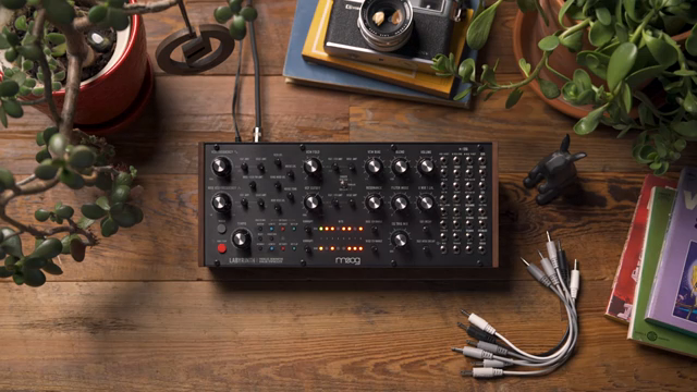 How to create two independent voices from Labyrinth's two sequencers, parallel signal path, two envelope generators, and the utility mixer.