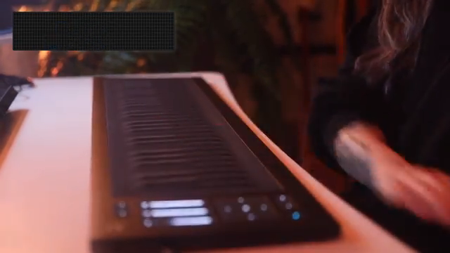 ROLI Seaboard RISE 2: OBLVYNs Workflow-Tipps für ausdrucksstarkes digitales Spiel