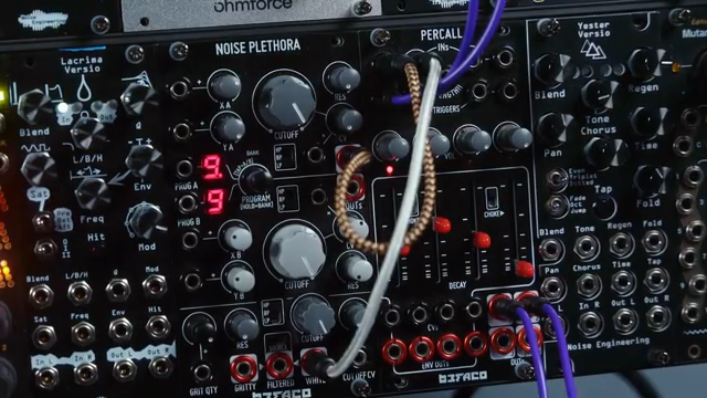 Hier bekommt man definitiv keine realistischen Becken oder so. Das ist eher was für die Freaks, aber hey, es ist eine super Option.