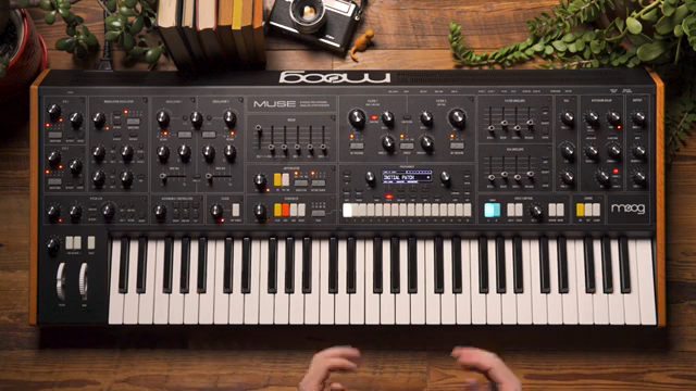 Moog Music Muse Diffusion Delay: Räumliche Tricks und Klangtexturen im Fokus