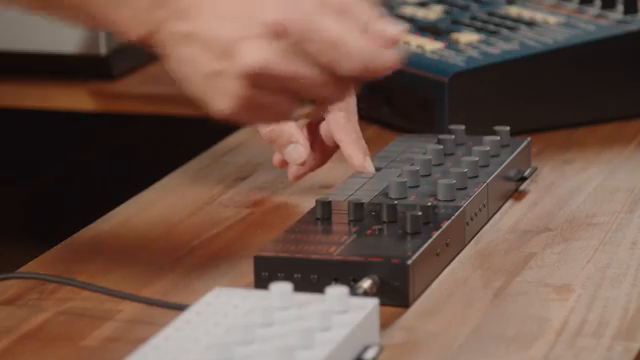 Ich kann auch bestimmte Grooves mikrotonal stimmen, indem ich einfach die Tonhöhe ändere.