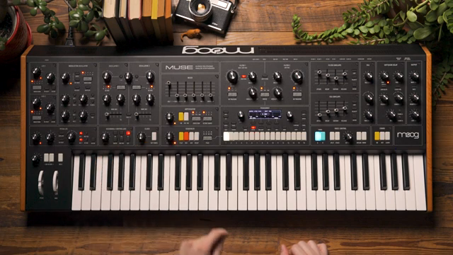 Moog Music Muse: Quick Assign Modulation—Ein digitales Modular-Paradies in Minuten