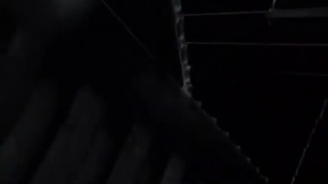 Diese zusätzliche Verarbeitungsschicht verlieh der Musik eine physische Textur, rauer, körniger und unmittelbarer, und erweckte den…