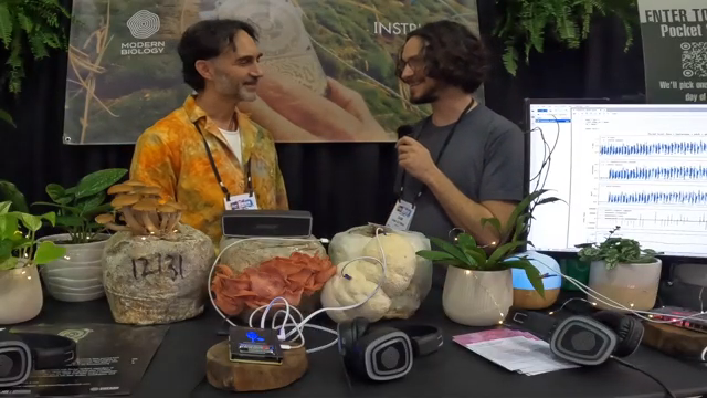 Wir nehmen elektrische Schwankungen in der lebenden Welt und machen daraus Klang.