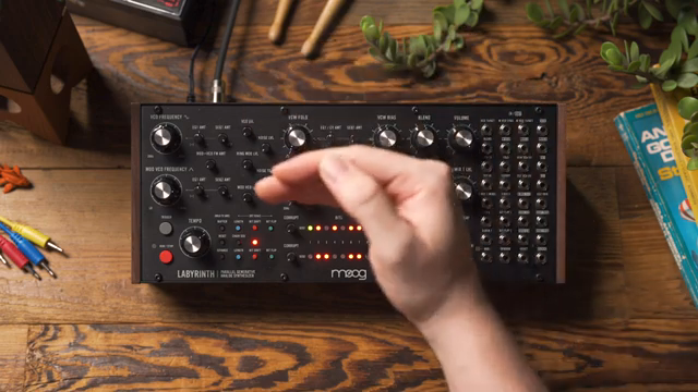Moog Music Labyrinth: Ein Spielplatz für Patch-Designer mit einzigartiger Voice-Architektur