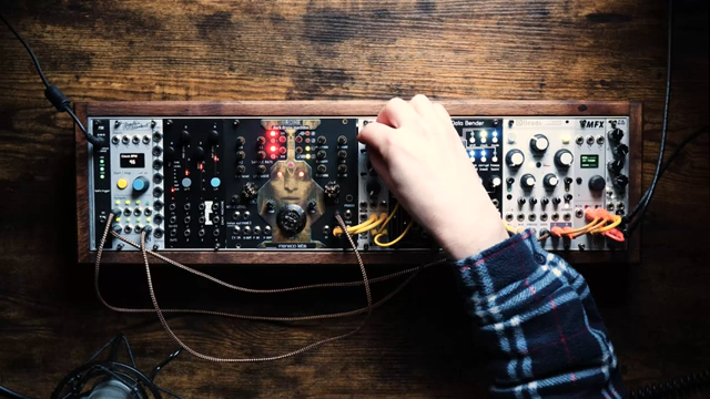 This is Gron from Moneco Labs and it's one of the strangest modules I've ever encountered in all my years of exploring Eurorack.