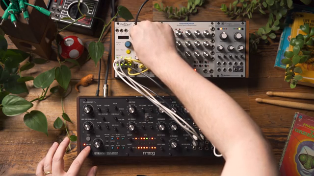 Durch die Integration einer externen Modulations- und Clockquelle kann ich die Arbeitsweise des Labyrinths stark verändern und wirklich…