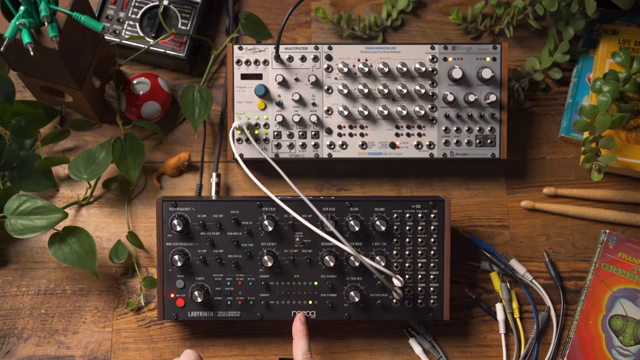 Moog Music Labyrinth: Externe Clocks, fremdartige Rhythmen und Modular-Chaos