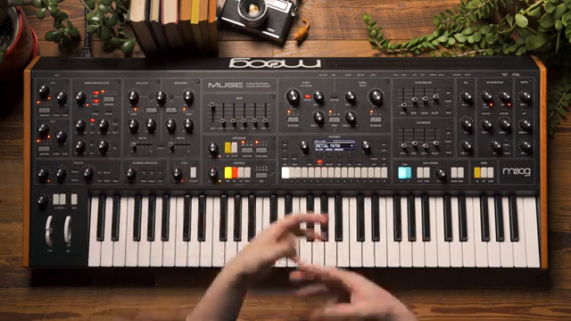 Because it's an analog modulation source, we get that really unique and organic phase relationship between voices.