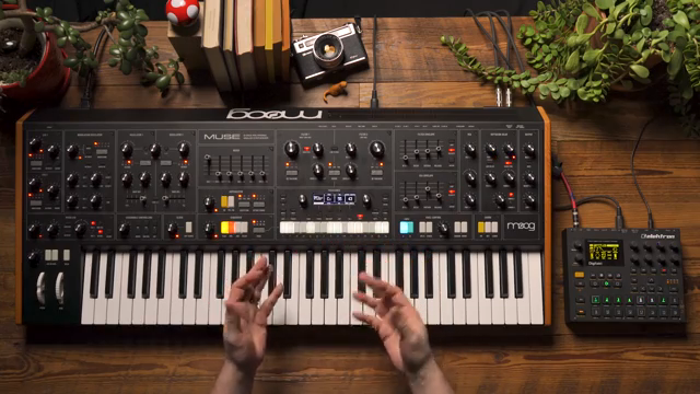 Moog Music Muse: Gesture Mode und die Kunst des grenzenlosen Sequenzierens