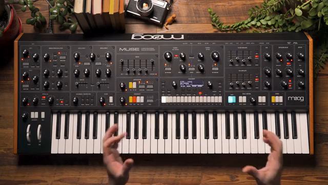 So you can store a total of 256 sequences inside of Muse.