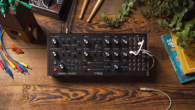 Moog Music Labyrinth: Percussive Patching und Drum Machine-Dekonstruktion