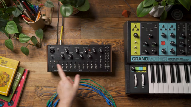 Moog Music Spectravox: Filterbank-Voice mit Patch-Potenzial