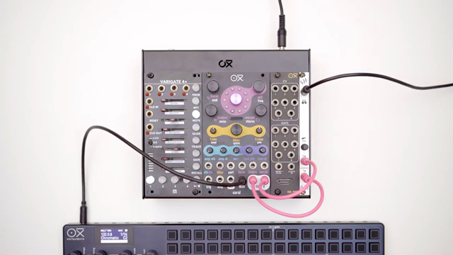 OXI Instruments entfesselt ACID: 303-Squelch im CORAL 2.0 Update
