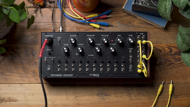 It's not quite a ring modulator because this VCA is unipolar rather than bipolar, but you can still experiment with all the sounds you can…