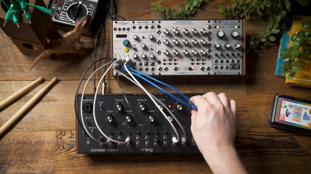 Mit einer externen Spannungsquelle, um einige Verhaltensweisen des Spectravox zu verändern und zu steuern, kann man das Verhalten radikal…