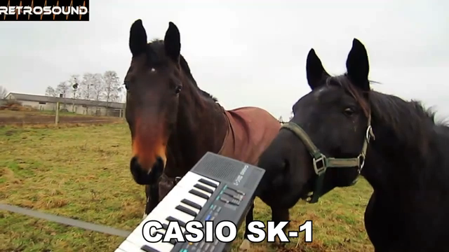 RetroSound’s Zeitkapseln: Die Klang-DNA der 80er-Sampler