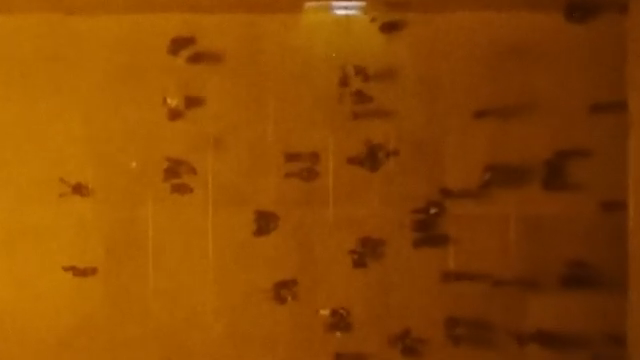 Es ist eine Bewegung. Eine Technologie des Gefühls. Ein Maschinen-Traum. Noch immer pulsierend. Noch immer im Wandel.