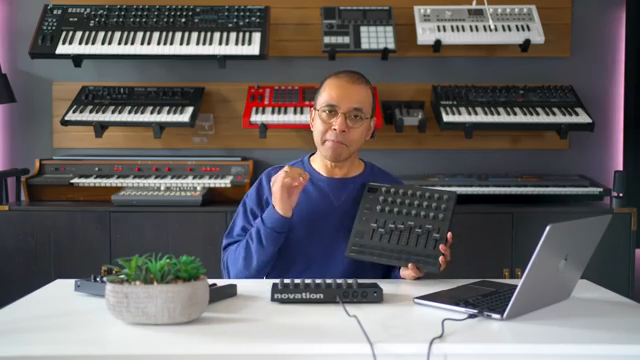 Der XL könnte tatsächlich das bessere Preis-Leistungs-Verhältnis bieten, wenn du den Platz hast.