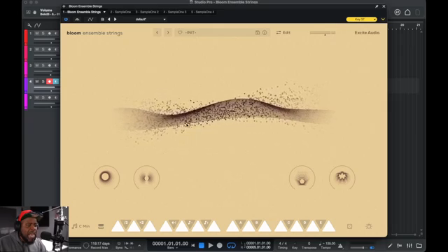 Bolo Da Producer bringt Bloom Ensemble Strings zum Glänzen: Streicher mit Straßenflair