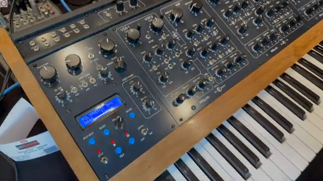 But on the voice side, as you said, it's an Oberheim ZEM? It's a clone. It's almost the same sound, but the filter is exactly the same.