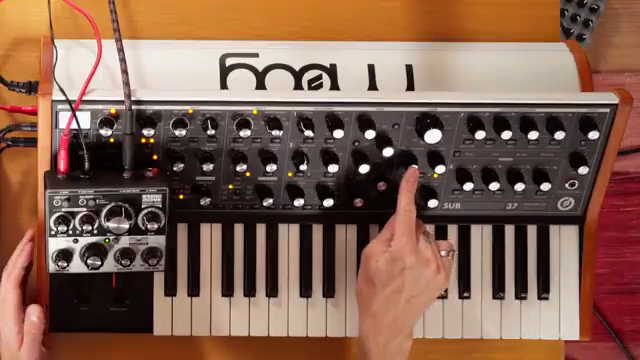 Underdog Electronic Music School entfesselt das zwitschernde Filter-Chaos