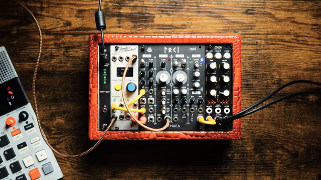 Ein Monosynth mit acht LFOs, acht Envelopes oder acht Sequencern ist extrem selten.