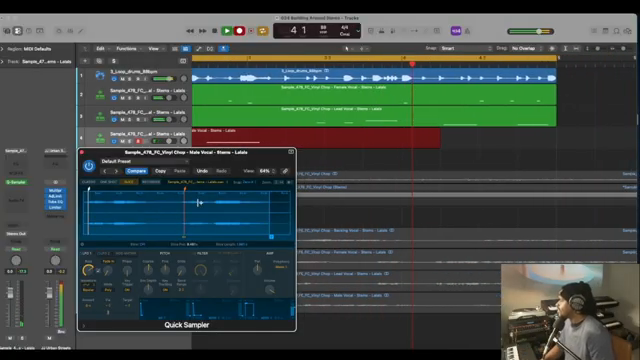 Das ist ein Vorteil, weil ich jetzt alle Vocals innerhalb eines Tracks mit Stem-Separation trennen konnte.